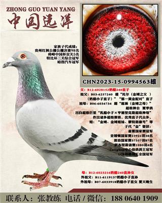 겻ɿ(j)Q