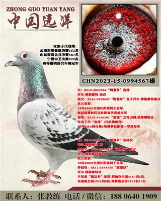 겻ɿQ