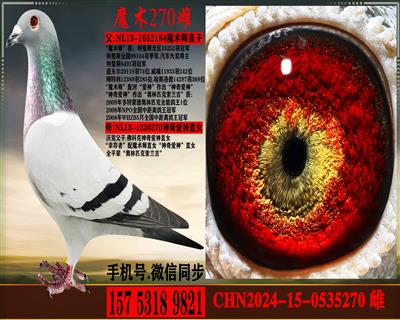 考夫曼.魔术师直子配佛科克.神奇爱神直女