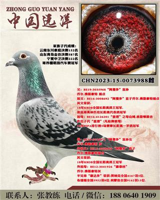 겻ɿQ