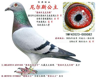 ᠖˹