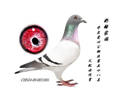 _Qِ58Ѫ