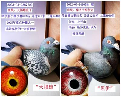 (Ӵ600һ