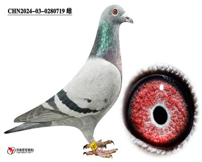 ɣʿ719