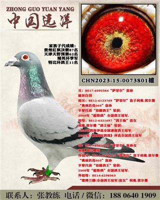 겻ɿQ
