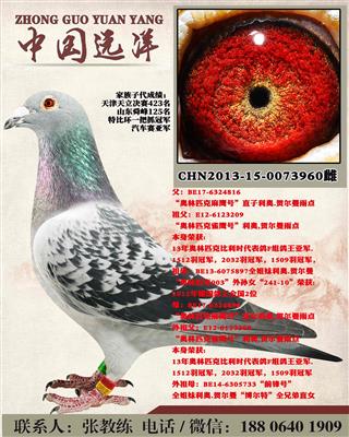 겻ɿQ