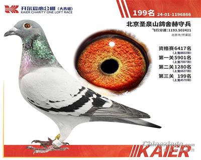 2025年開爾大春棚決賽199名