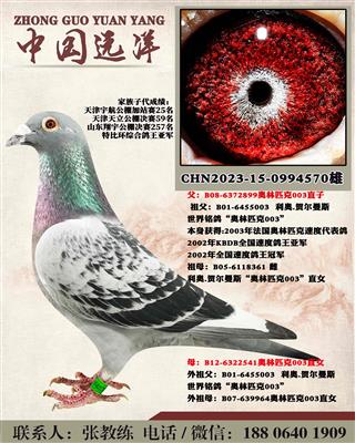 겻ɿQ