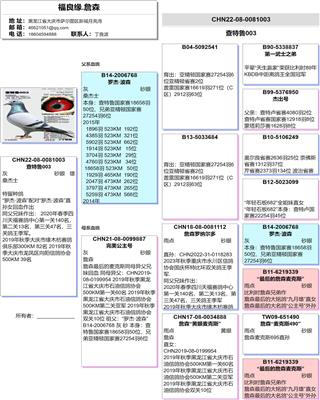 Ѫy(tng)