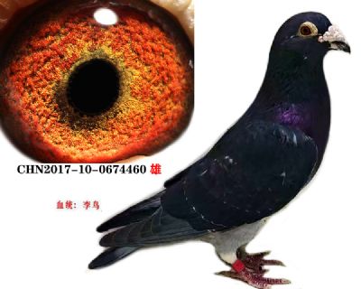 293d9d307730f95caa83b189e2640cb