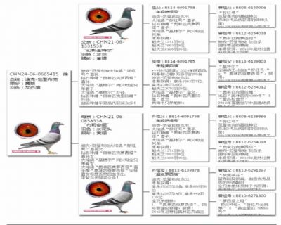Ѫy(tng)
