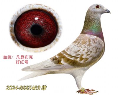 ǲ-üt̖(ho)