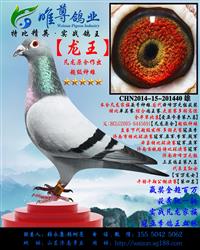 游