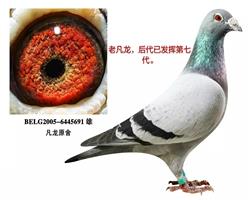Ϸ