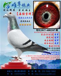 ĸHHӼ顿