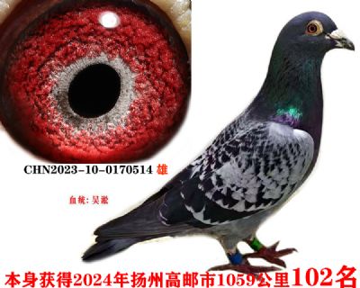 ee9bc76a2a11b8a46b7d89c324157a2