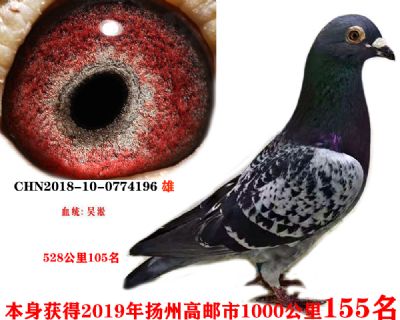 d6a264120907cb984d3746564788714
