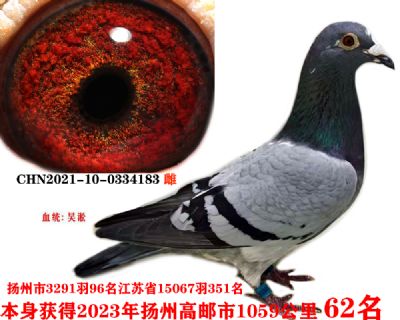 563799a7e4957ebaa5da7fb9c64a52e