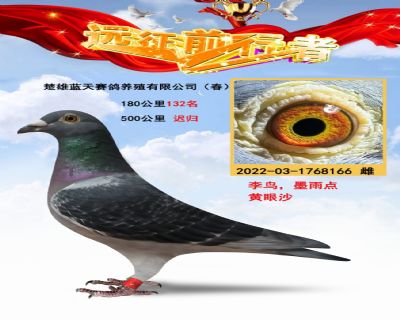 李鳥