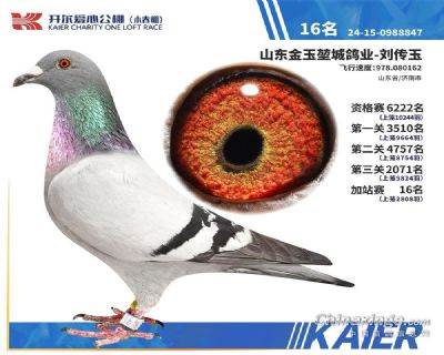 开尔春棚