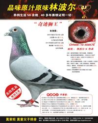 游E{
