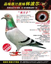 ĸHƽ݅