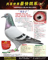 游ƽ݅