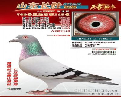 山东长胜春棚