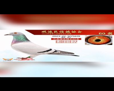 p24괺ِ60