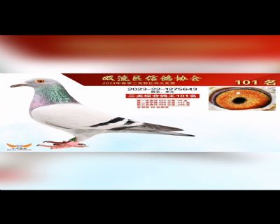p24괺ِ101