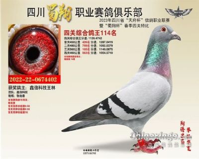 2023年蜀翔俱乐部四关鸽王114名