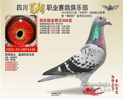 2023年蜀翔俱乐部四关鸽王568名