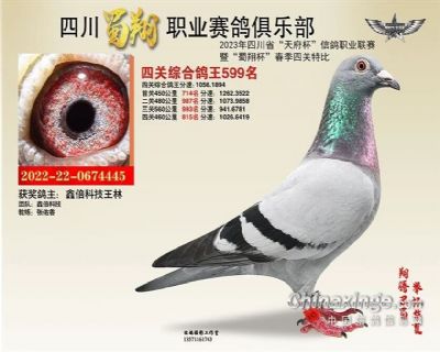 2023年蜀翔俱乐部四关鸽王599名