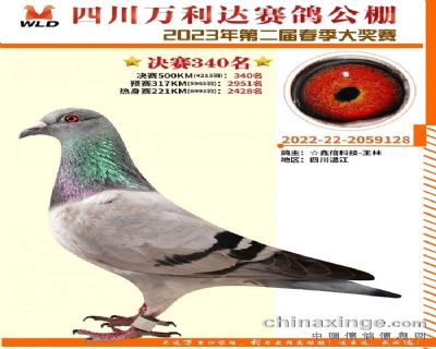 2023年万利达公棚决赛340名