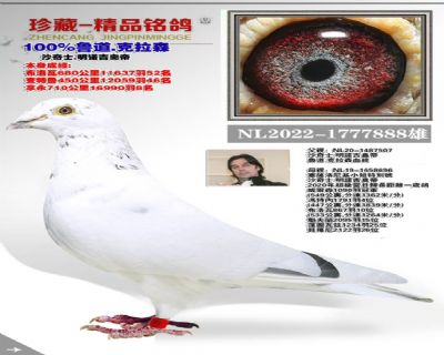 没起名