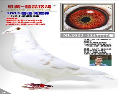 没起名