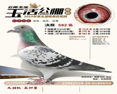 没起名