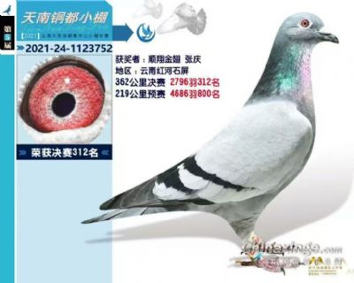 没起名