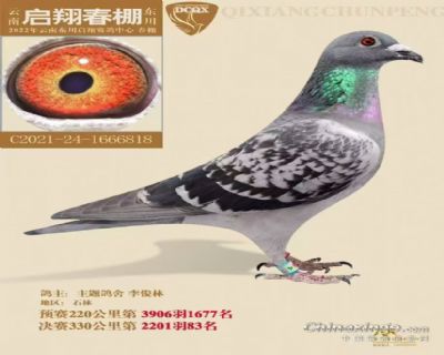 没起名