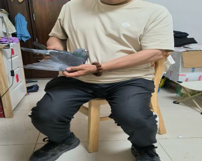 DƬ