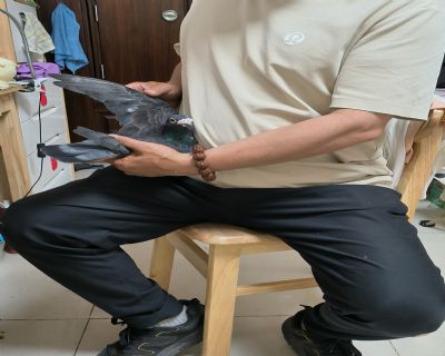 DƬ