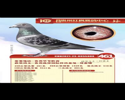 ](mi)