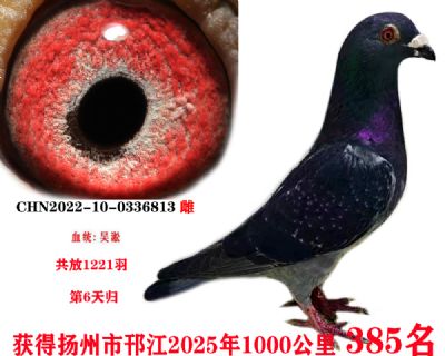 ǧ385