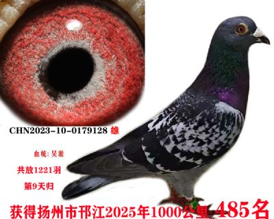 ǧ485