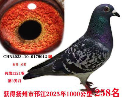 ǧ258