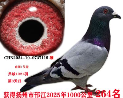 966e74cd4a0b727a867edf7b5d12a26