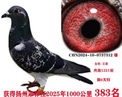 ǧ383