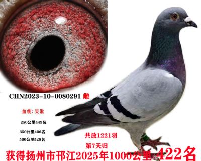 19d21b556ccb59bd186597a3cff1dd5