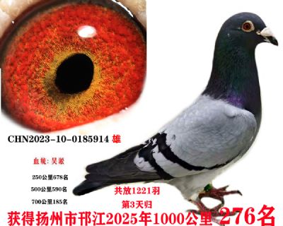 3f8ff7a338f0d49b6f895a4cbef8db5