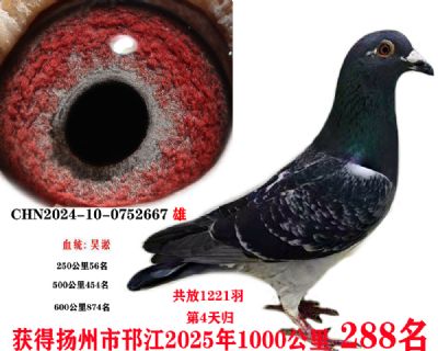 4c14b3cc408bd5a7d4164f04c2631cb